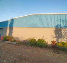 A partial view of a light-colored shed with a blue corrugated metal roof under a clear blue sky. Shadows of trees or poles are cast across the shed's wall. In the foreground, there is dry, uneven ground with some sparse greenery.